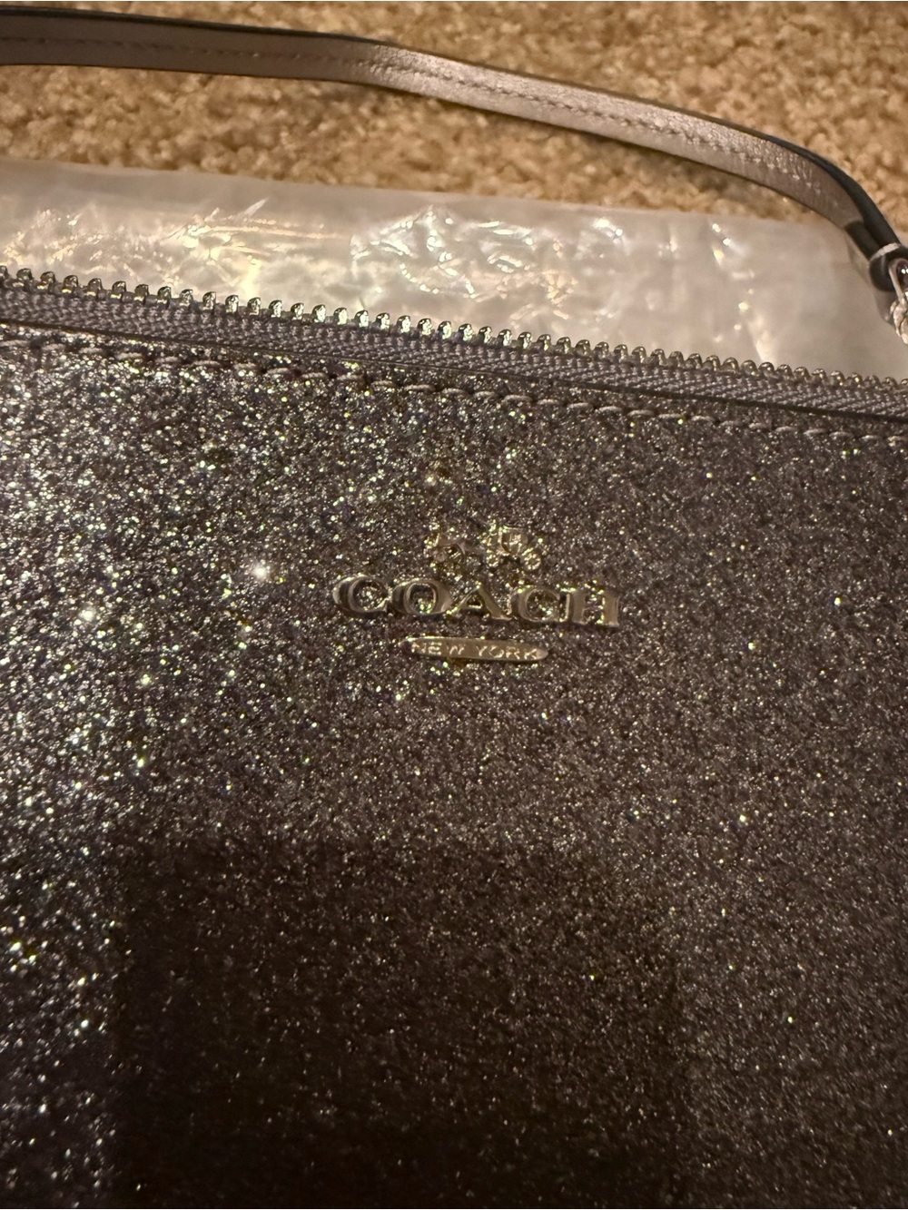Coach Glitter Crossbody Wristlet - Metallic Silver Sparkle